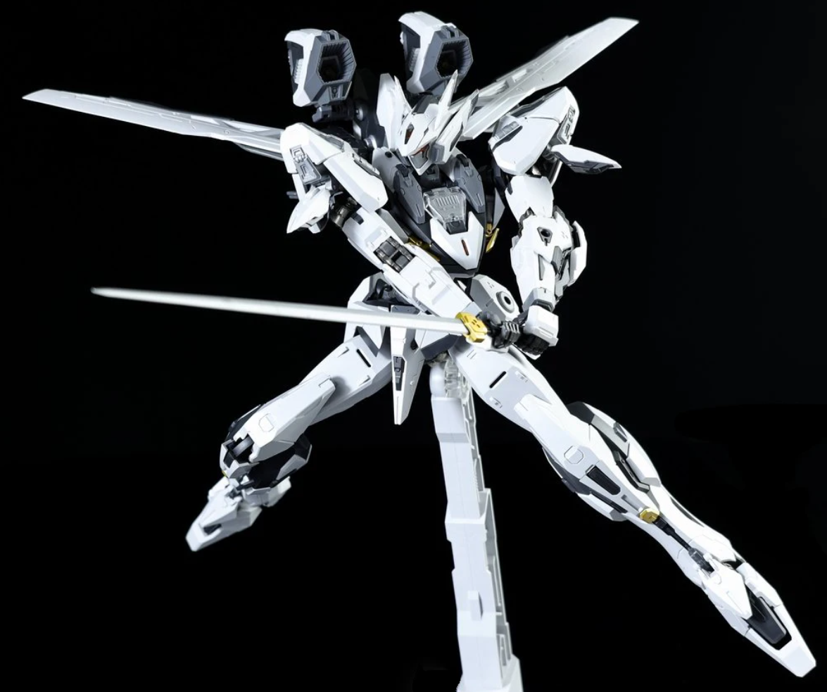 Armored Colossus 1/100 Test-70 Bailu