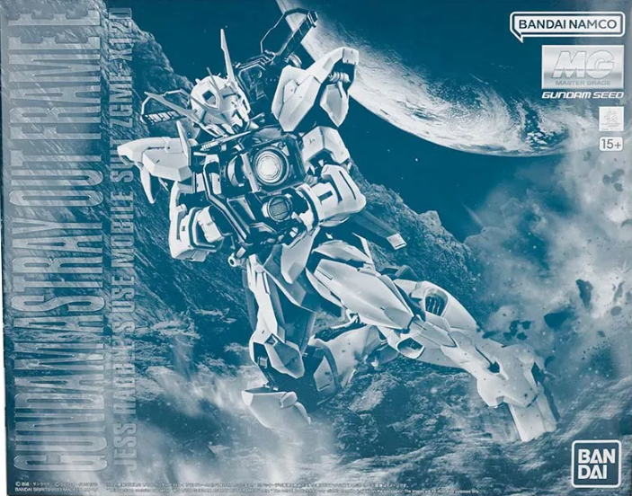 Premium Bandai MG 1/100 Gundam Astray Outframe D