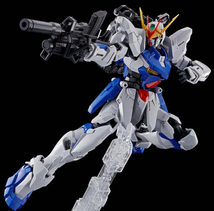 Premium Bandai MG 1/100 Gundam Astray Outframe D