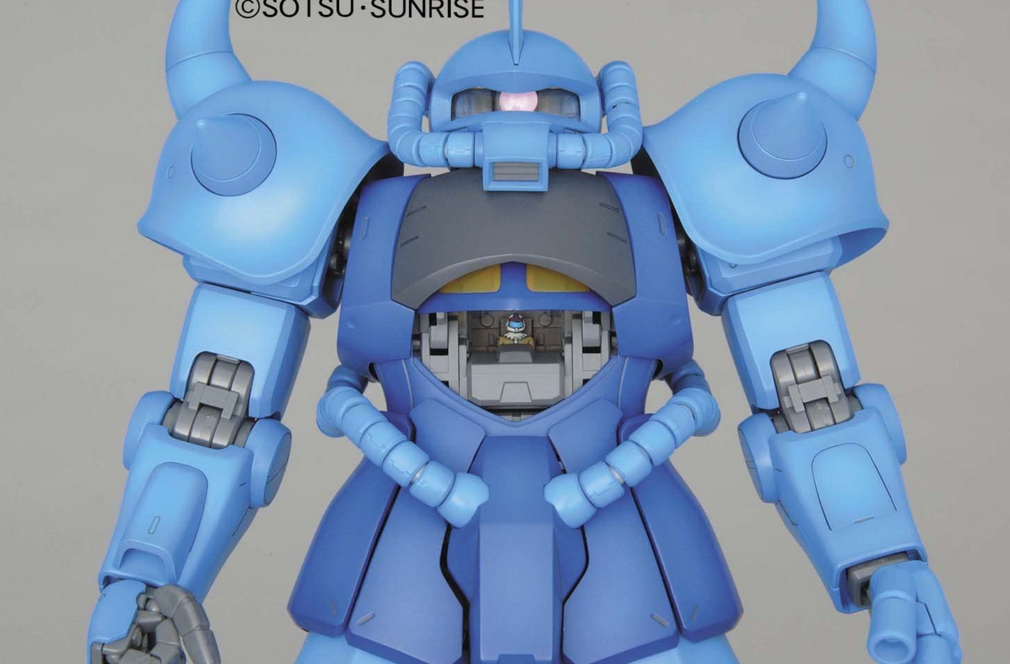 Bandai 1/100 MG Gouf 2.0
