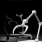 DSPIAE UMS-01 Universal Model Display