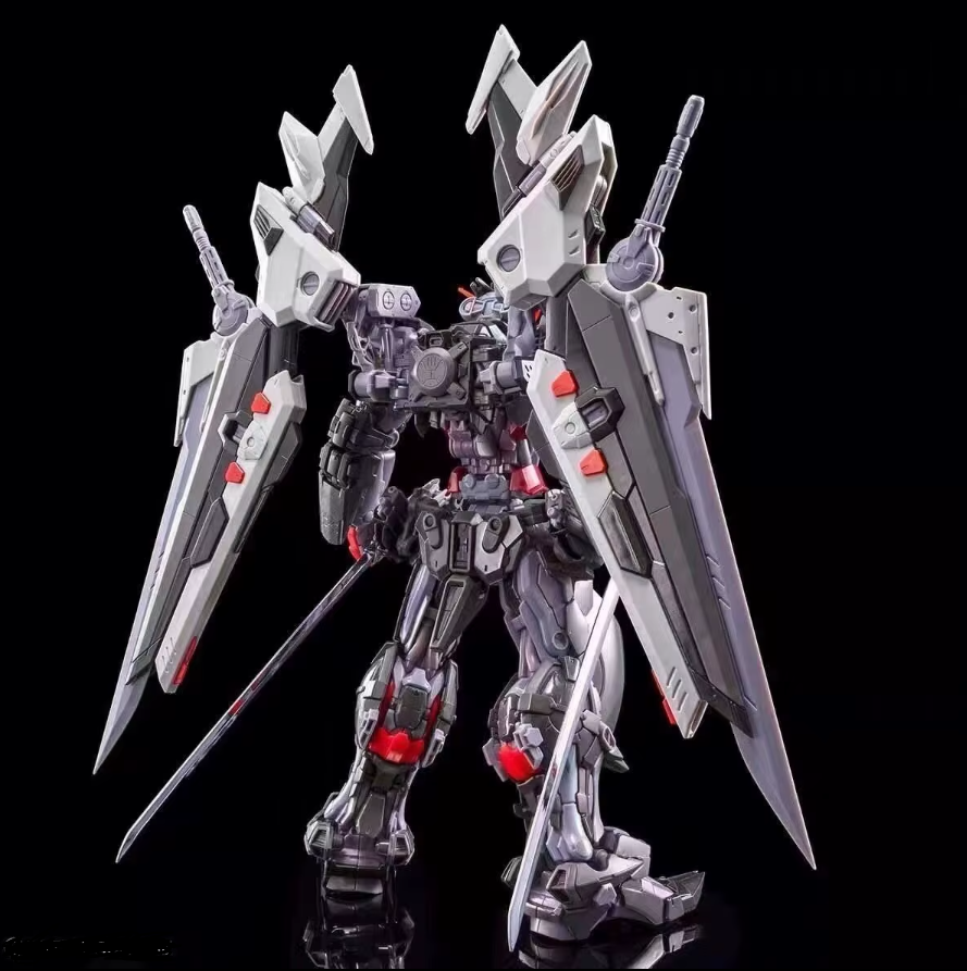 Daban Hirm 1/100 MBF-P0X Gundam Astray Noir