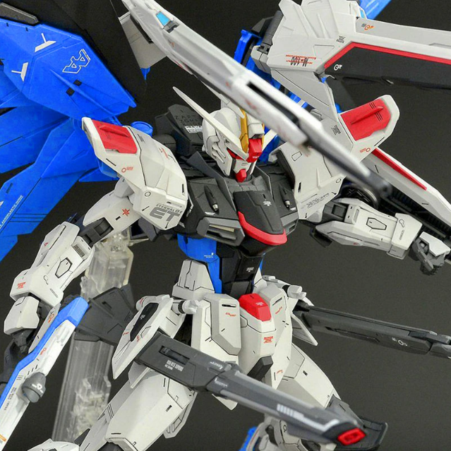 Daban 6650 MG 1/100 Strike Freedom Gundam 2.0