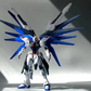 Daban 6650 MG 1/100 Strike Freedom Gundam 2.0
