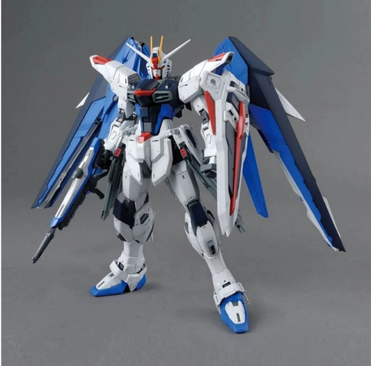 Daban 6650 MG 1/100 Strike Freedom Gundam 2.0
