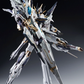 Infinite Dimensions 1/100 Aurora [Metal Frame]