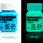 Luminous Paint 01-07 Fluorescent Acrylic Paint Series