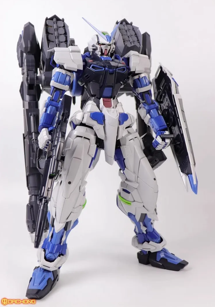 Nilson Work PG 1/60 Blue Astray