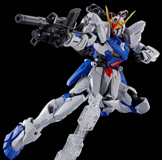 Premium Bandai MG 1/100 Gundam Astray  Outframe D