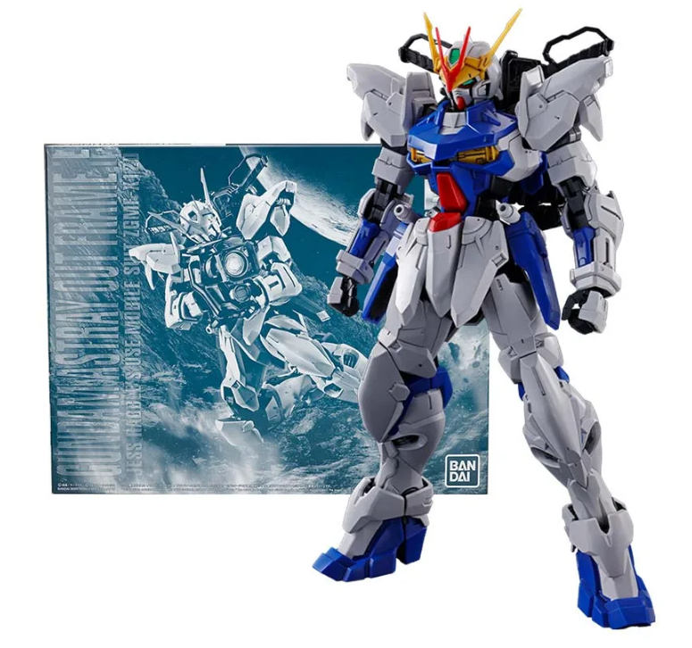 Premium Bandai MG 1/100 Gundam Astray  Outframe D