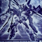 (Pre-Order) Premium Bandai Full Mechanics 1/100 GAT-XX370 Boost Raider Gundam