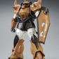 Premium Bandai MG 1/100 Protype Gouf