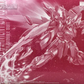 Premium Bandai MG 1/100 RGX-00 Testament Gundam