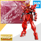 Premium Bandai MG 1/100 RGX-00 Testament Gundam