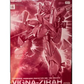 Premium Bandai RE 1/100 XM-07G Vigna-Zirah