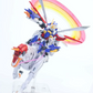 XFS RG 1/144 風雲再起拡張セット [ゴッドガンダム用]