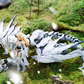 Soulingtoys 1/12 Daytime Meteor Model Kit